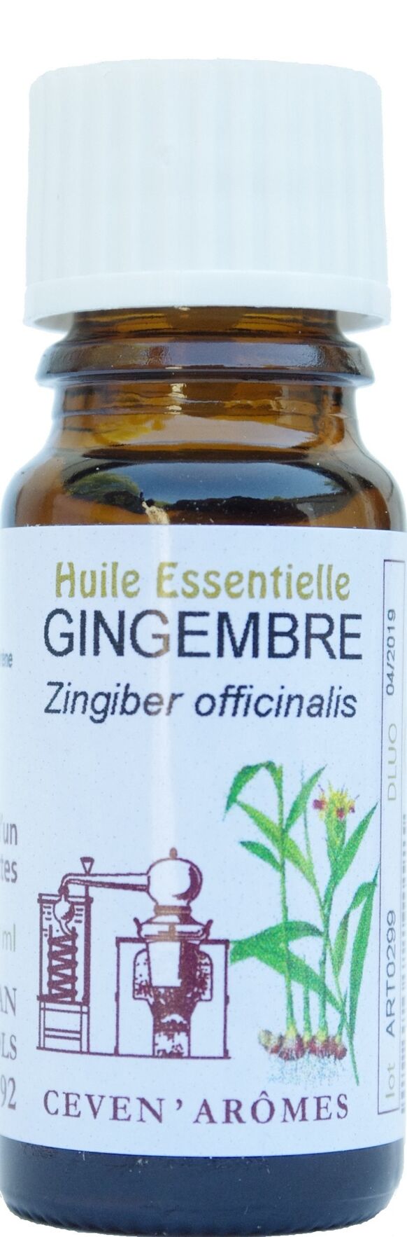 Oli essenziali in flaconi da 10 ml