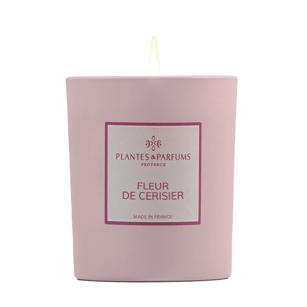 Candela vegetale Fleur de Cerisier