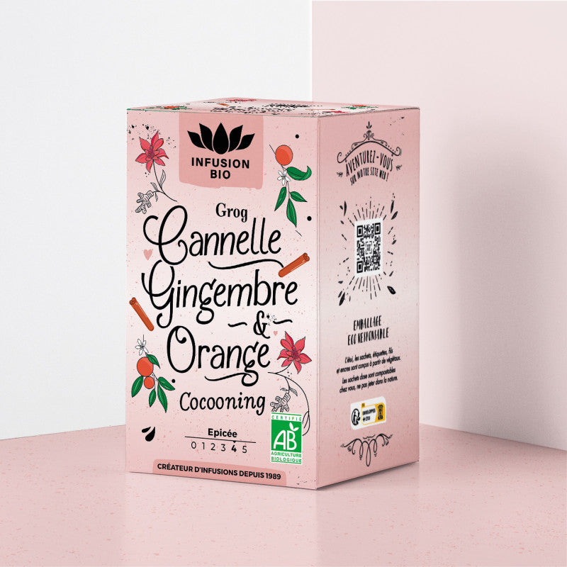 Infuso cannella, zenzero e arancia Bio