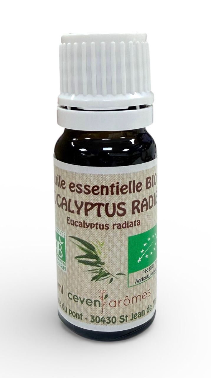 Oli essenziali in flaconi da 10 ml